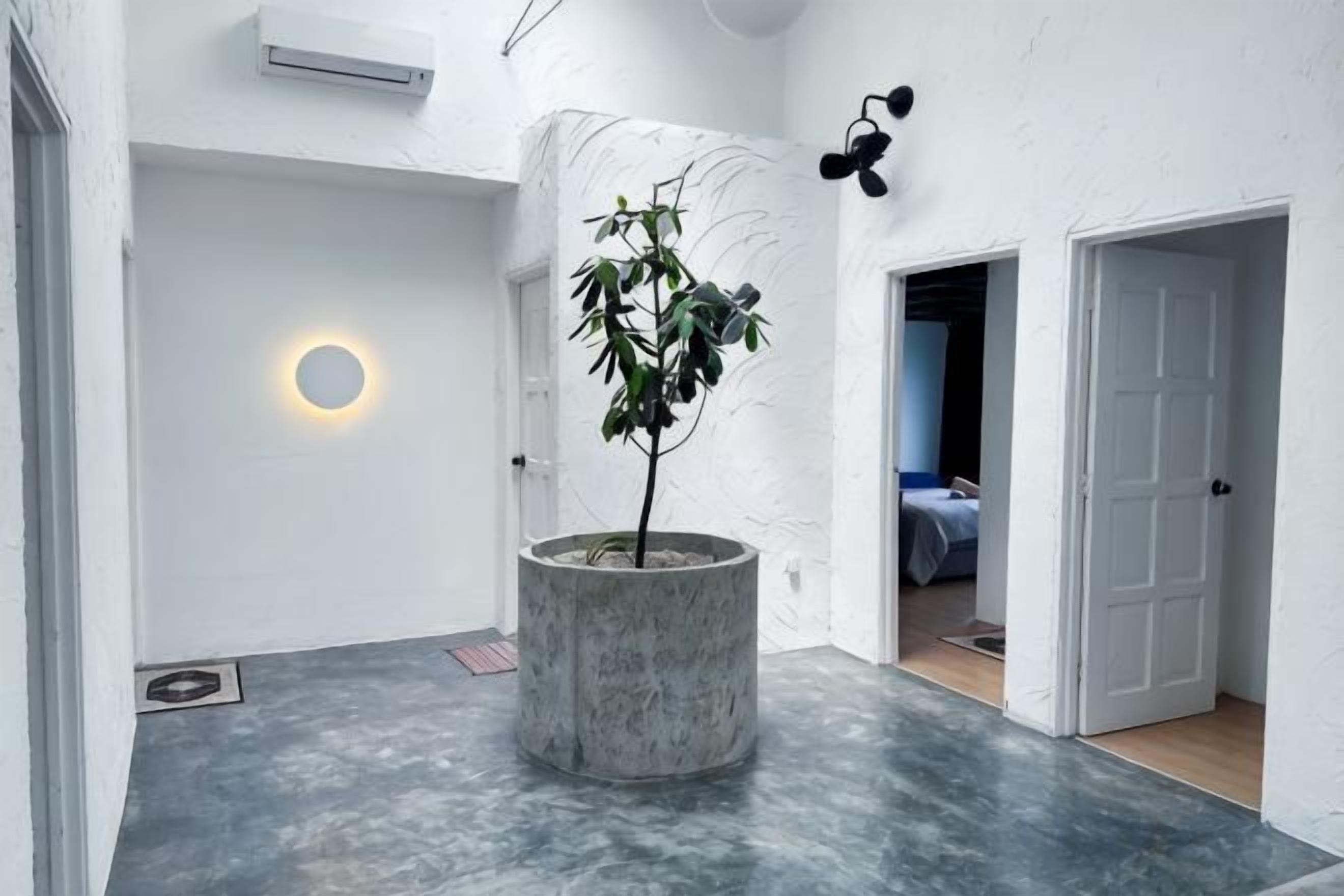 A hallway with a potted plant, a circular light fixture, and a door leading to a bedroom.