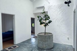 Una habitación con una planta en maceta, una cama con ropa de cama azul y una puerta que da a otra habitación.