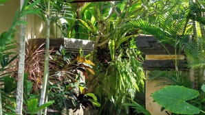 Un sendero de jardín que conduce a un edificio con techo de paja, rodeado de exuberante vegetación tropical y una pared de piedra.
