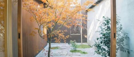 A narrow courtyard with a tree, stone pathway, and a wooden door.