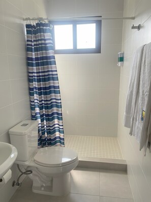 Shower, hair dryer, bidet, towels