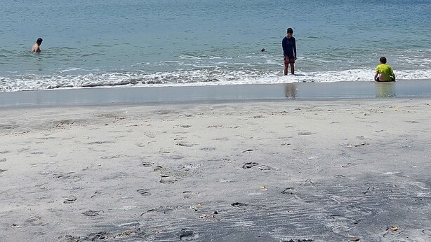 A beach with a blue umbrella providing shade, a sandy shore, and the ocean in the background.
