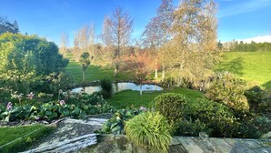 A garden with a pond, various plants, and trees.