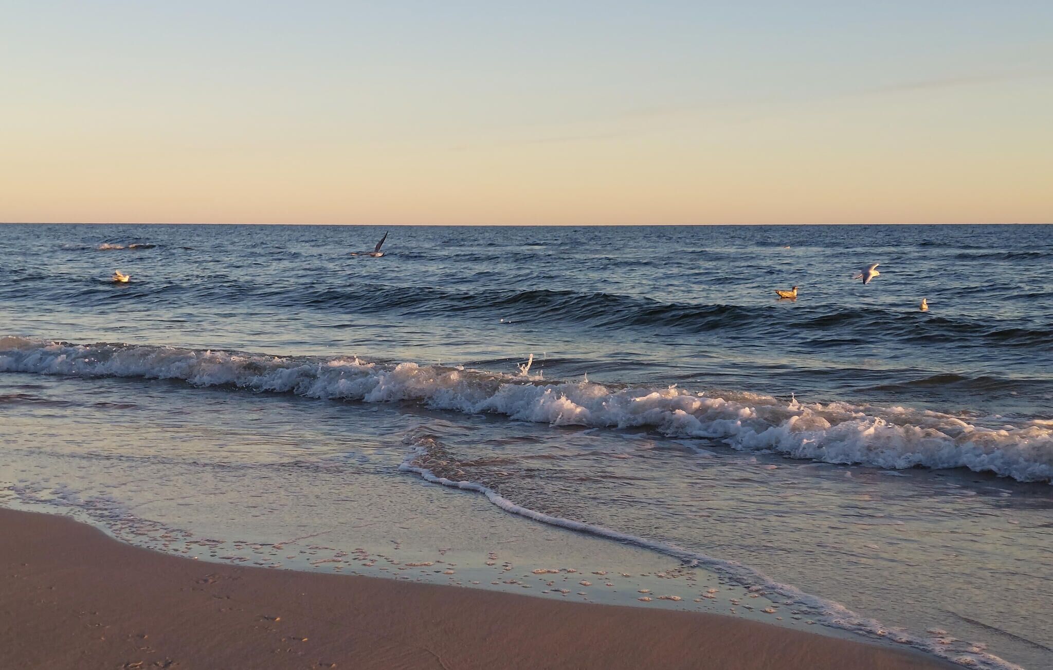A beach with waves gently lapping onto the shore.