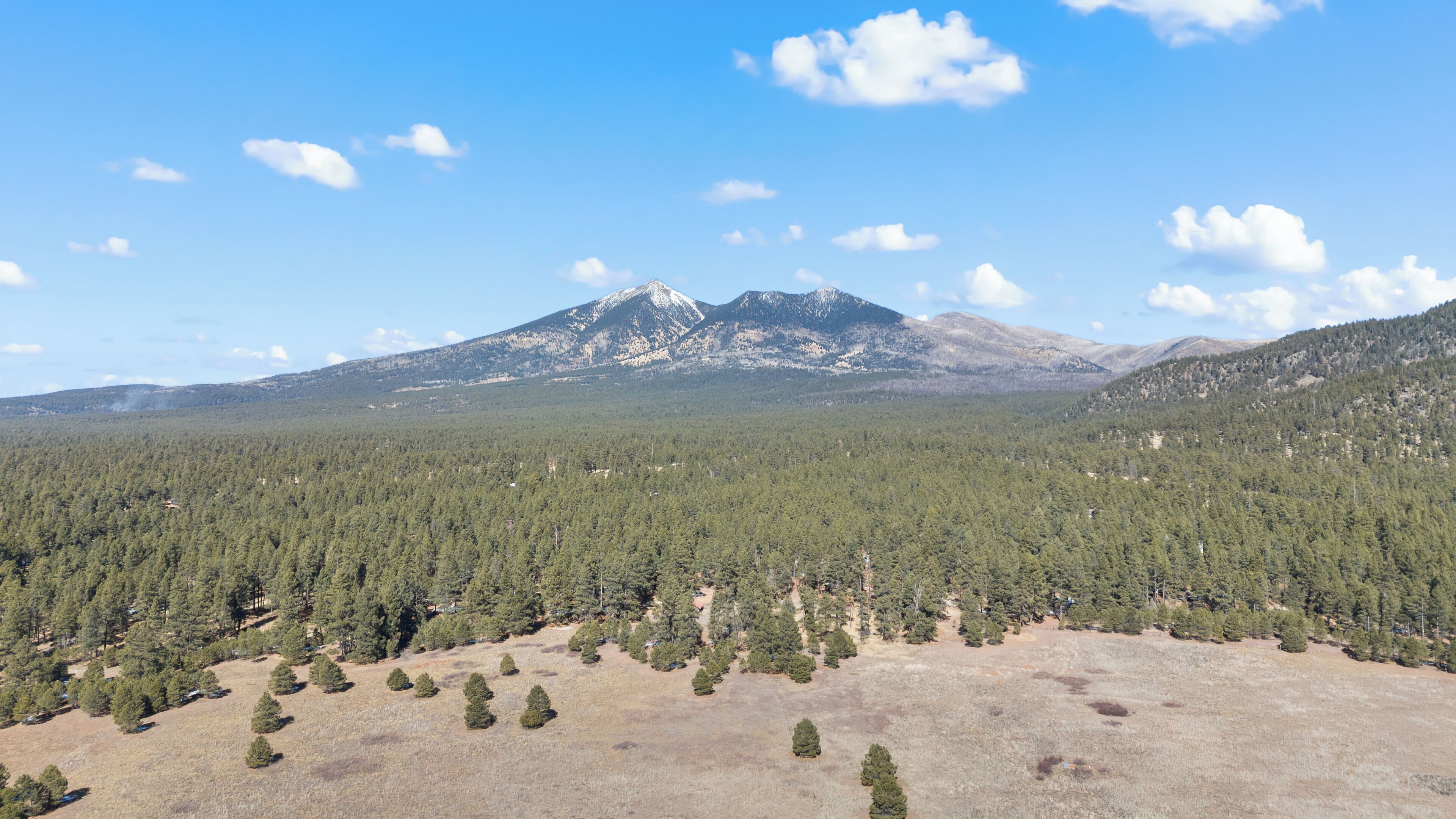 Un paisaje montañoso con bosque denso y cielo despejado.