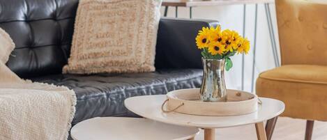 TV connectée, cheminée