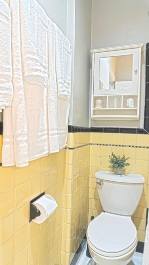 Secador de cabelo, toalhas de banho, sabonete, papel higiênico