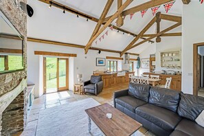 Televisie, een open haard en boeken