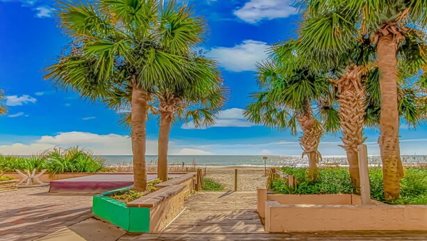 Ein hölzerner Steg führt zu einem Strand mit Palmen und blauem Himmel.