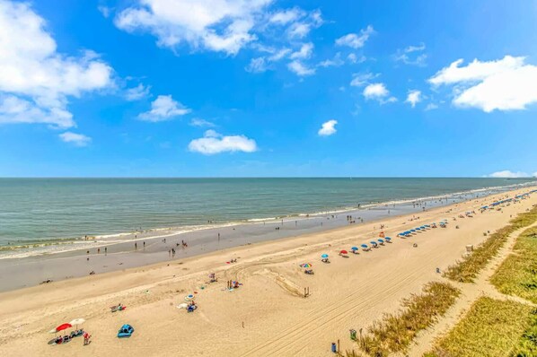 A beach with a clear sky, a sandy shore, and a row of umbrellas.
