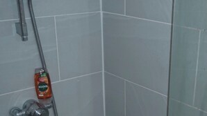 Shower, towels, soap, toilet paper