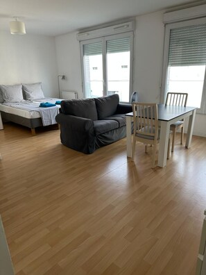 Interior - 400 sq. feet large studio with WiFi just 7 minutes from Paris (Arcueil)