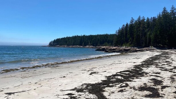 Une plage avec une eau d’un bleu limpide, un rivage sablonneux et une zone boisée en arrière-plan.