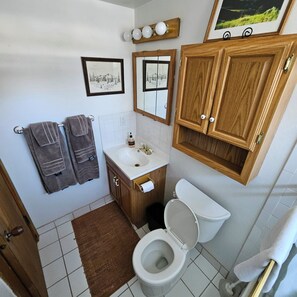 Hair dryer, towels, soap, shampoo - Skier's Paradise in the winter, bikers/hikers paradise in the summer!  (Ketchum)