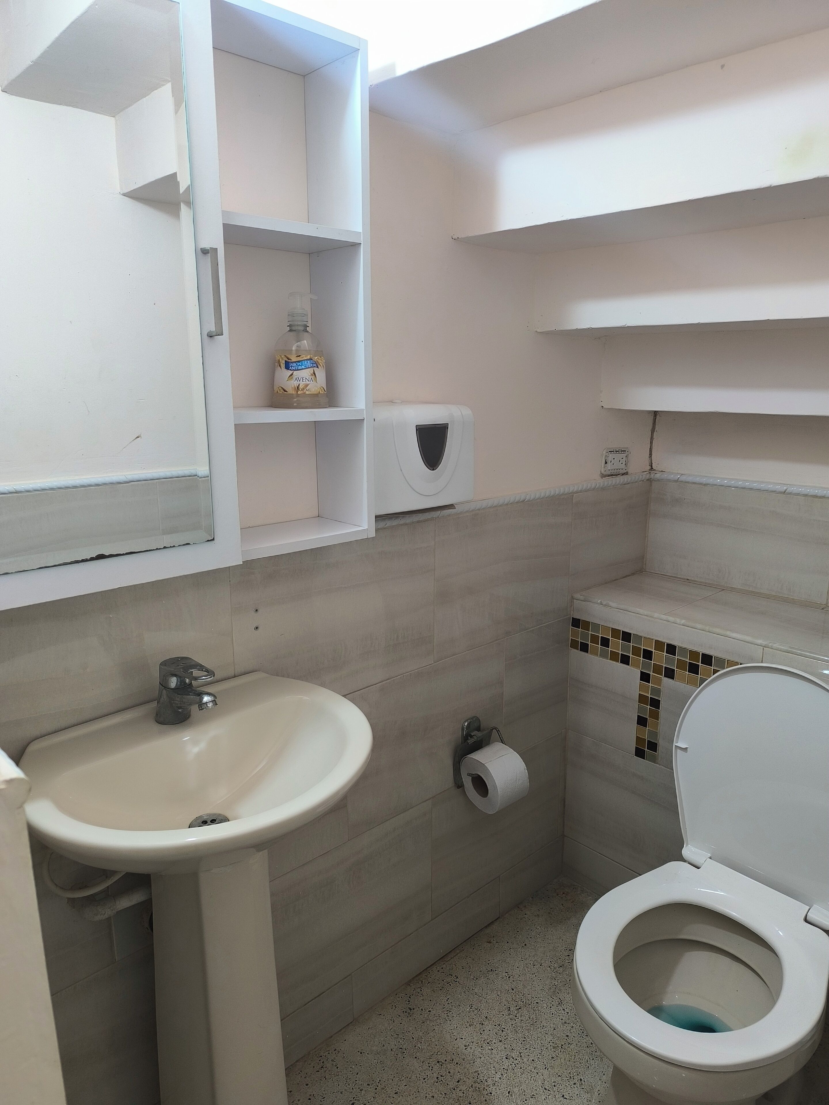 Un baño con lavamanos, inodoro y estantes con artículos de aseo.