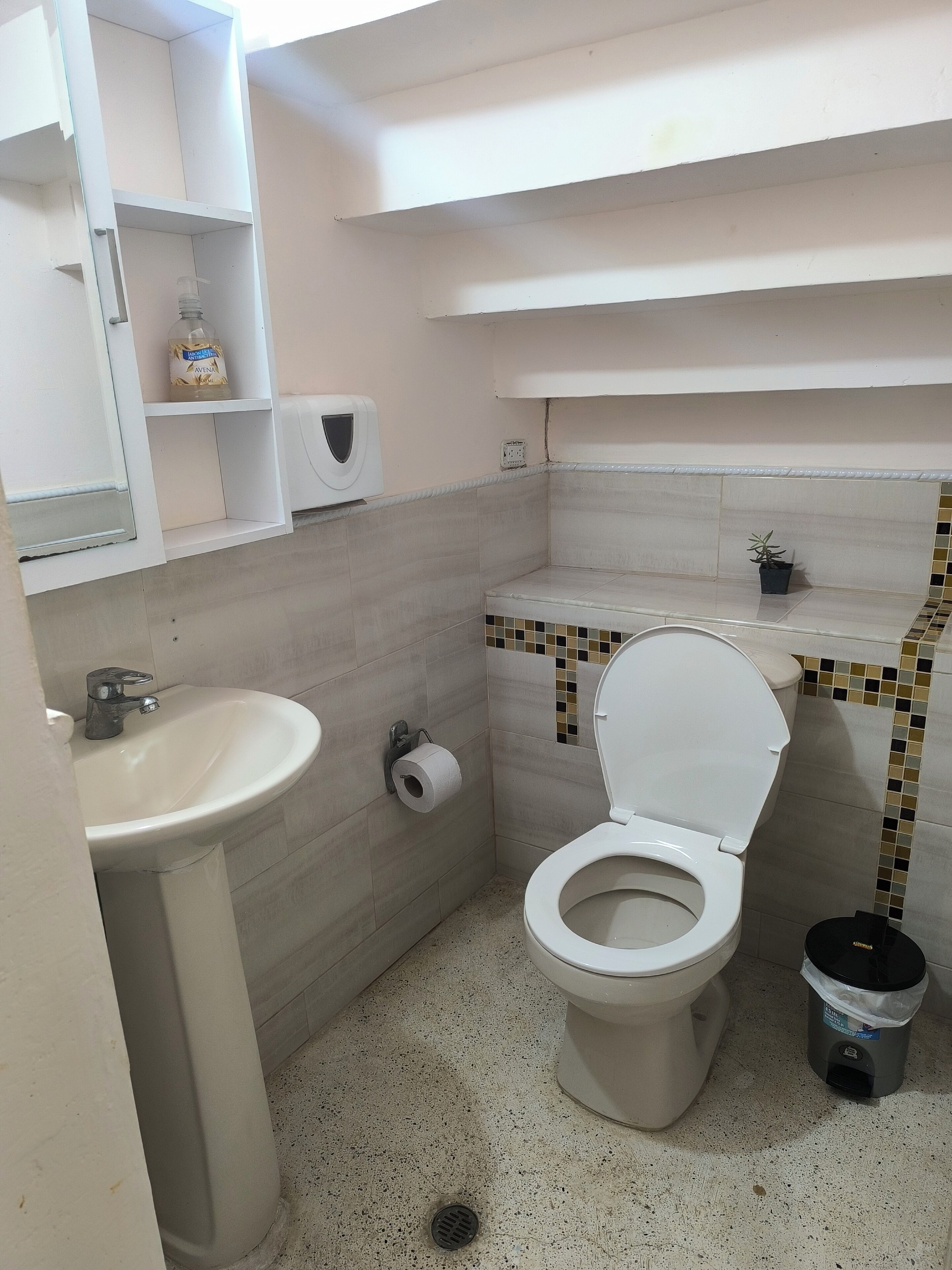 Une petite salle de bain avec des toilettes, un lavabo et une petite étagère sur laquelle se trouve une bouteille.
