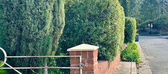 Affordable Luxury - CBD Wagga