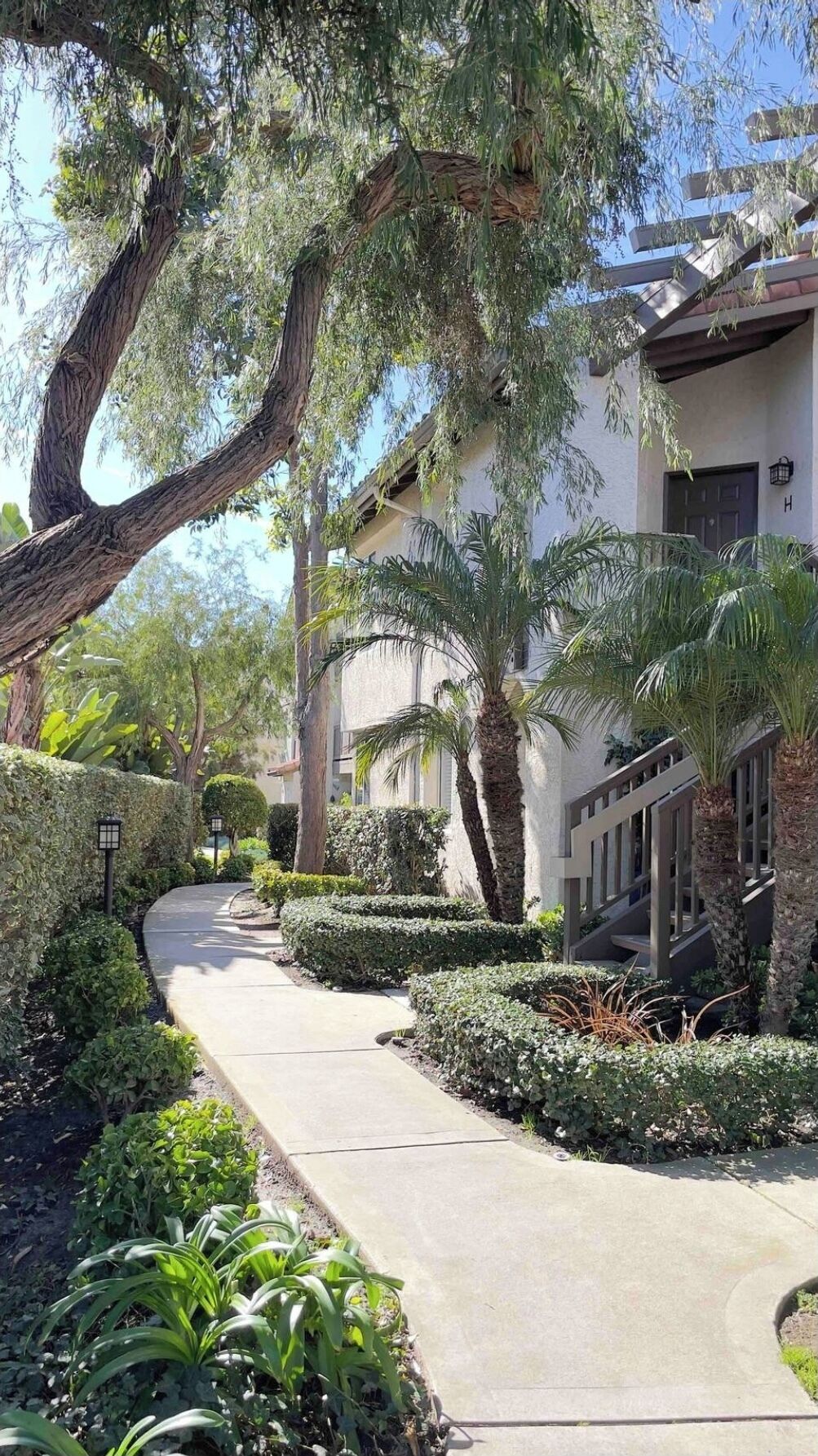 A pathway flanked by neatly trimmed hedges and palm trees, leading to a building with a white facade and a visible staircase.