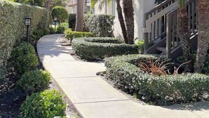 Un chemin bordé de haies et de palmiers soigneusement taillés, qui mène à un bâtiment à la façade blanche et dont on aperçoit un escalier.