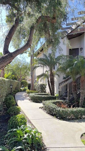 Property grounds - WiFi, gym, pool, spas, pet, gates, laundry, patio, walk to beach (Dana Point)