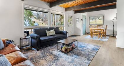 Lake Geneva Lake Access home - Sleeps 12, Game Room, Beach Access, Near Como