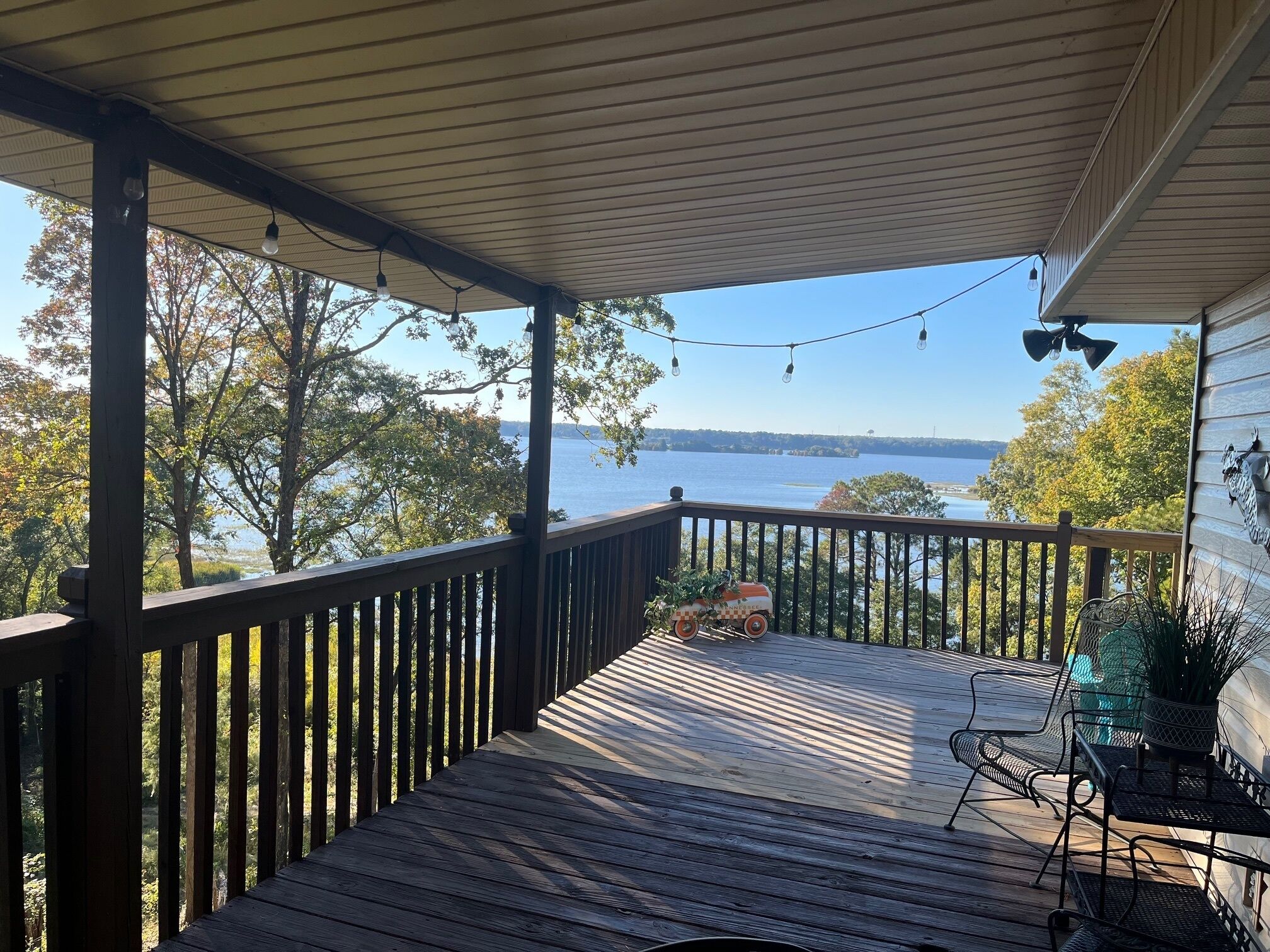 テラス / パティオ