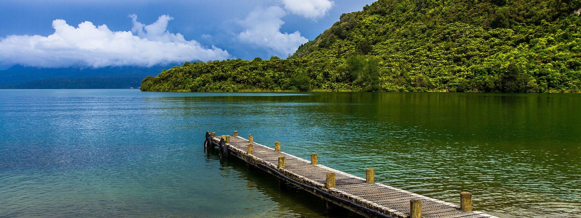 A wooden pier extending into calm waters with a lush green island in the background.