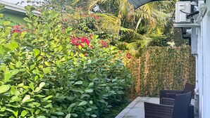 Un patio con una silla, un cerco de bambú y abundante follaje.
