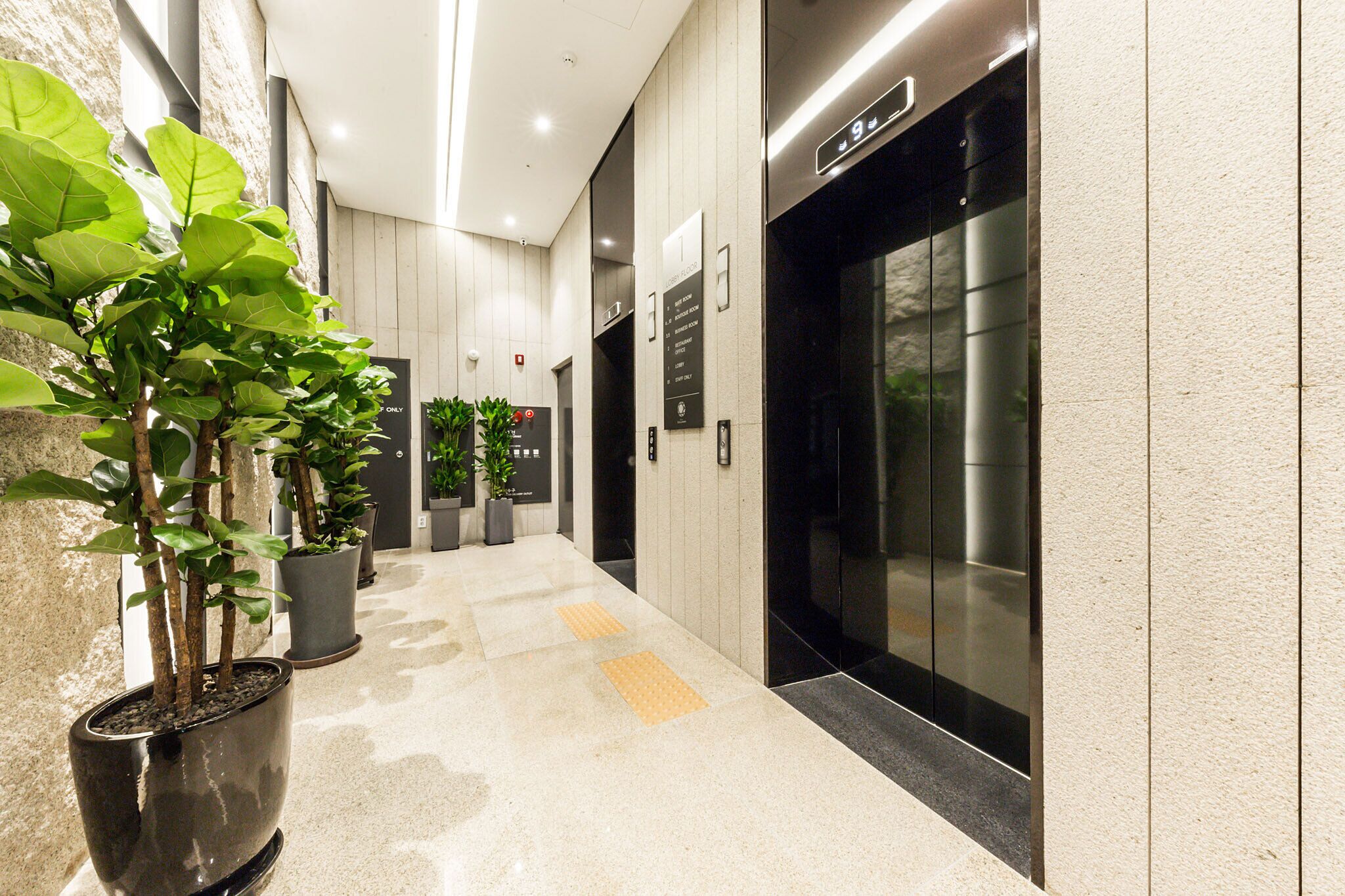 A modern hallway with potted plants, a tactile paving path, and an elevator.