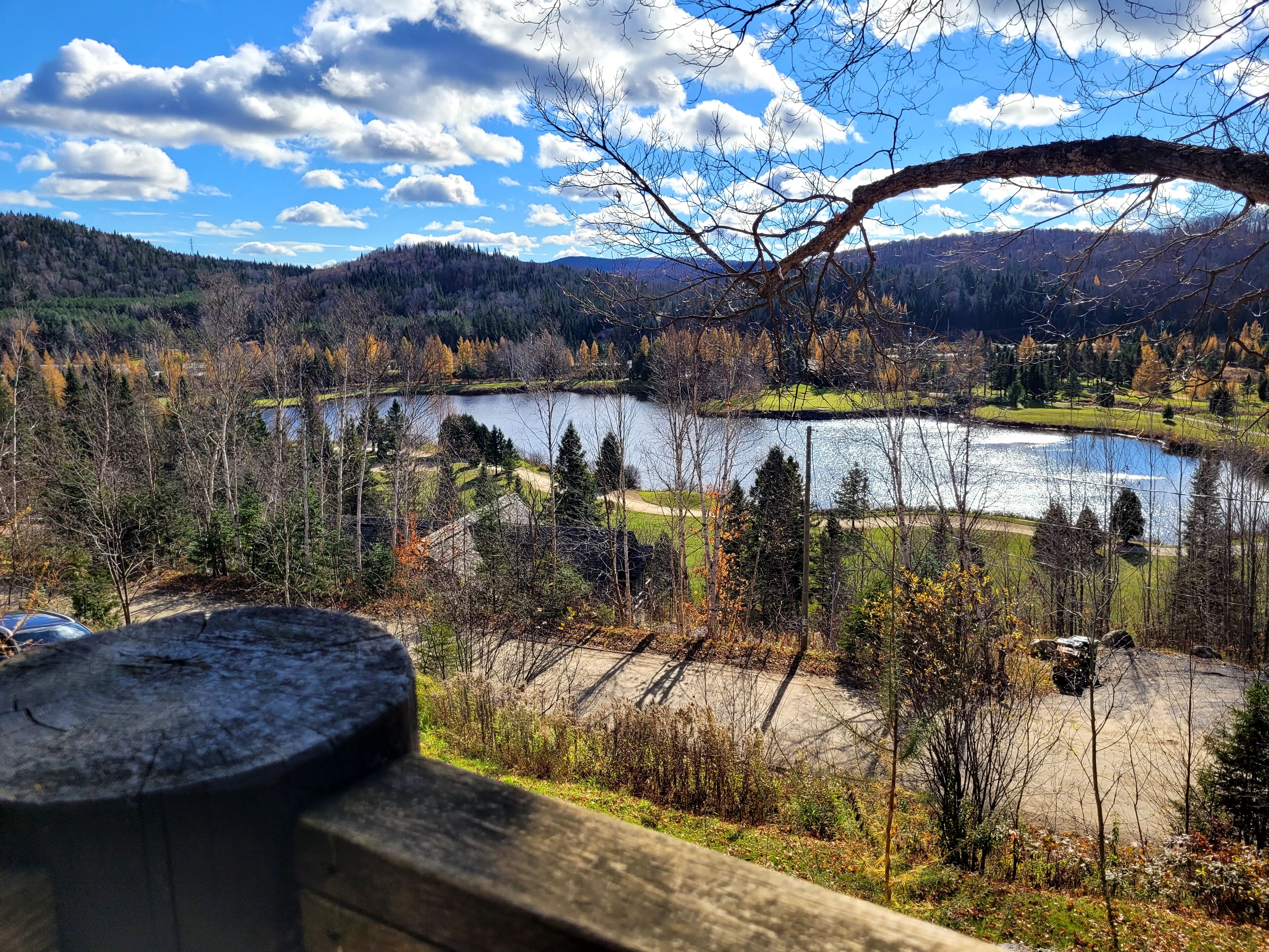 Blick auf einen See mit einer Holzterrasse, blauem Himmel und umliegendem Wald.