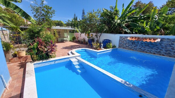 Una piscina con pared de piedra y escalones de acceso, rodeada de plantas en macetas y árboles.