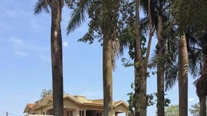 A multi-story building with a balcony, surrounded by palm trees and greenery. - Rwizi View Hotel Mbarara (Mbarara)
