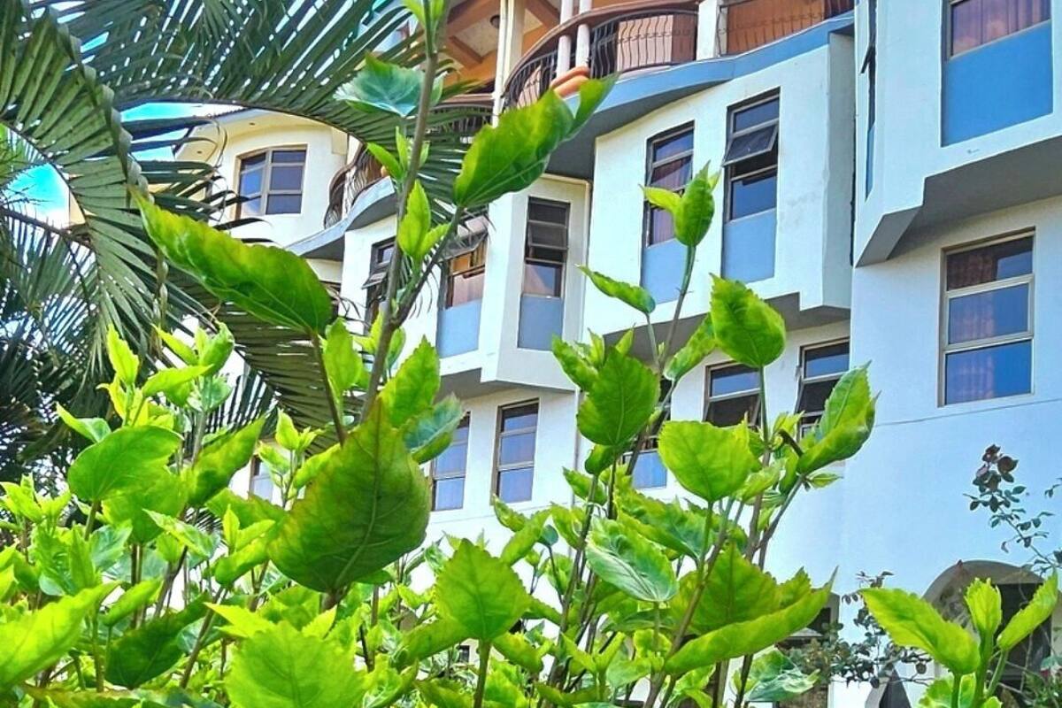A hotel with a balcony, multiple windows, and lush greenery in the foreground.