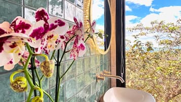 Douche, sèche-cheveux, serviettes fournies, savon