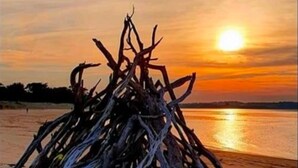 Eine Strandansicht mit einem Haufen Treibholz bei Sonnenuntergang.