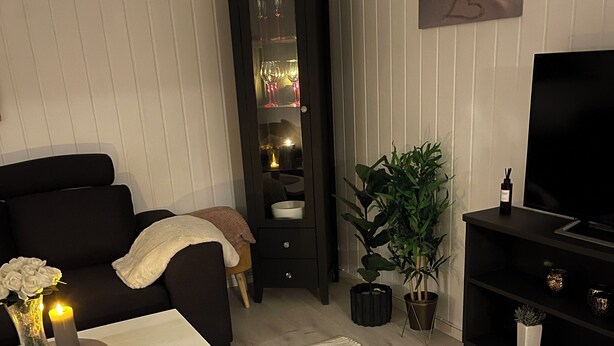 Un salon comprenant un canapé, une table basse, un meuble, un support pour télévision et une plante en pot.