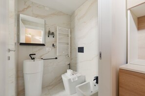 Shower, hair dryer, bidet, towels