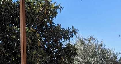 La Réserve Provence