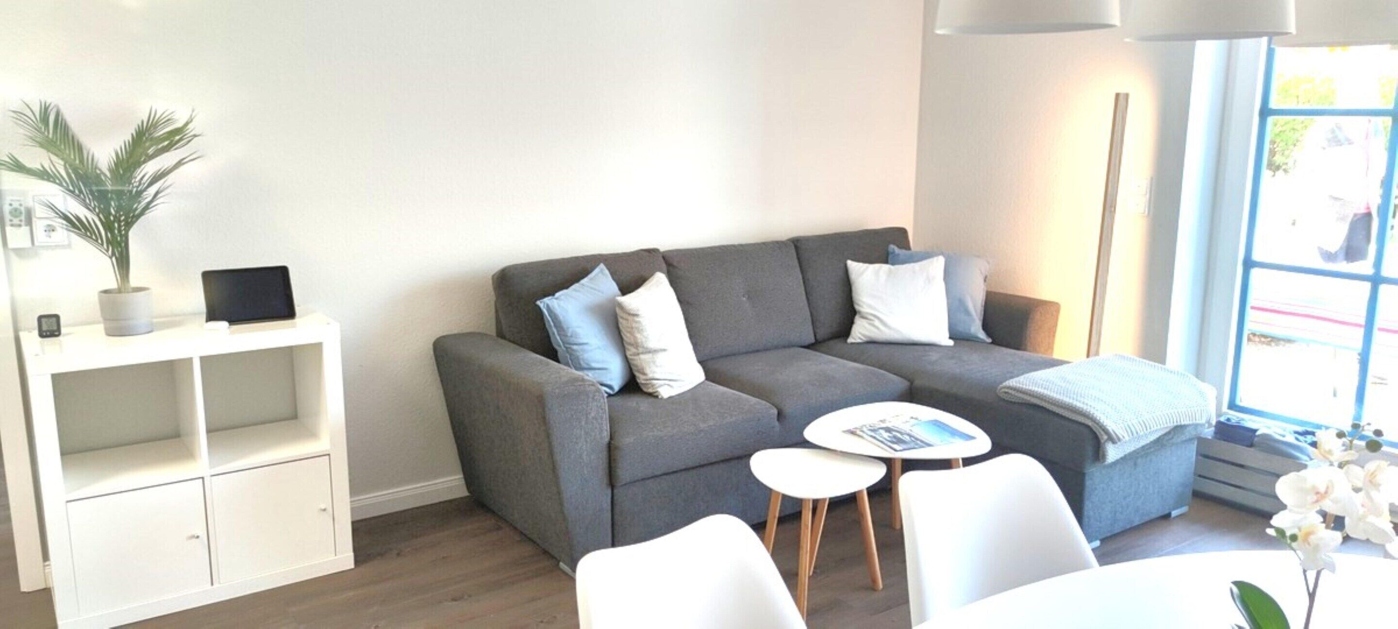Ein modernes Wohnzimmer mit grauem Sofa, weißen Sesseln, einem kleinen weißen Tisch und einer Blumentopf-Pflanze.