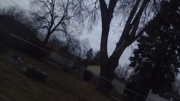 Miscellaneous