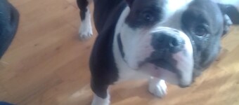 Charming bed & breakfast in welcoming Saint Paul with WiFi