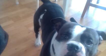 Charming bed & breakfast in welcoming Saint Paul with WiFi