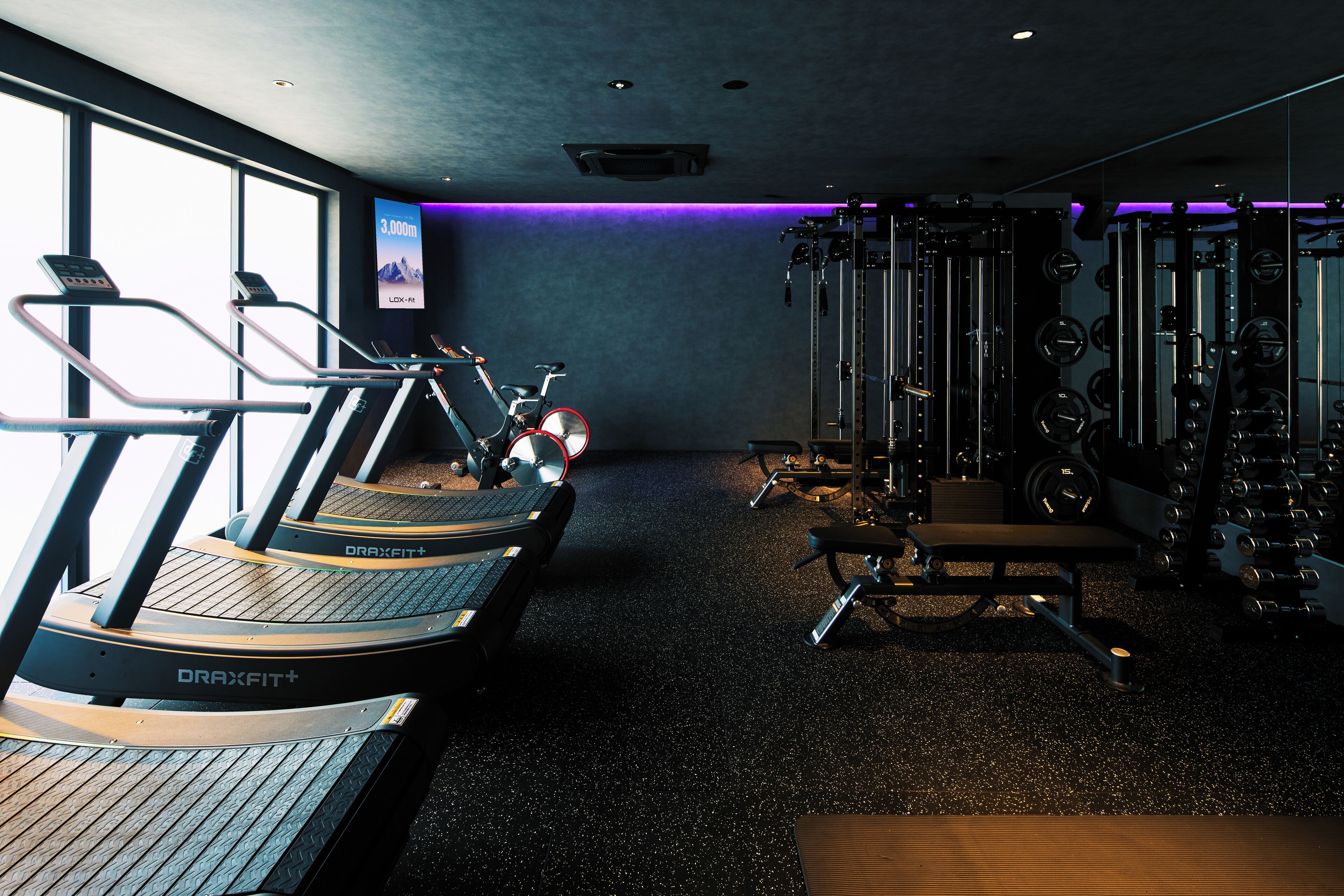 A gym with treadmills, a stationary bike, and weightlifting equipment.