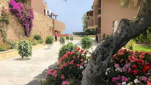 Un patio con pared de piedra, plantas en macetas y un árbol.