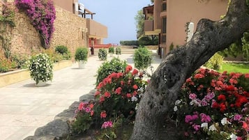 Une cour avec un mur en pierre, des plantes en pot et un arbre.