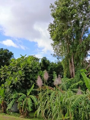 Área da propriedade