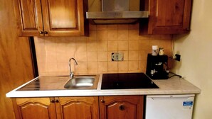 A compact kitchen with wooden cabinets, a stainless steel sink, and a built-in oven. - Charming San Gimignano Apartment With City Views (San Gimignano)