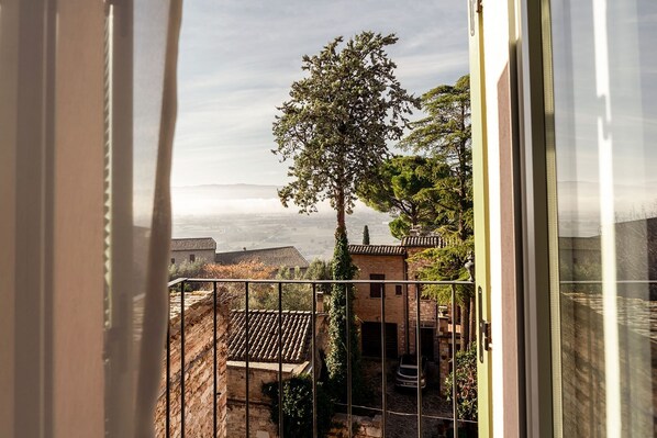 Vista desde la habitación