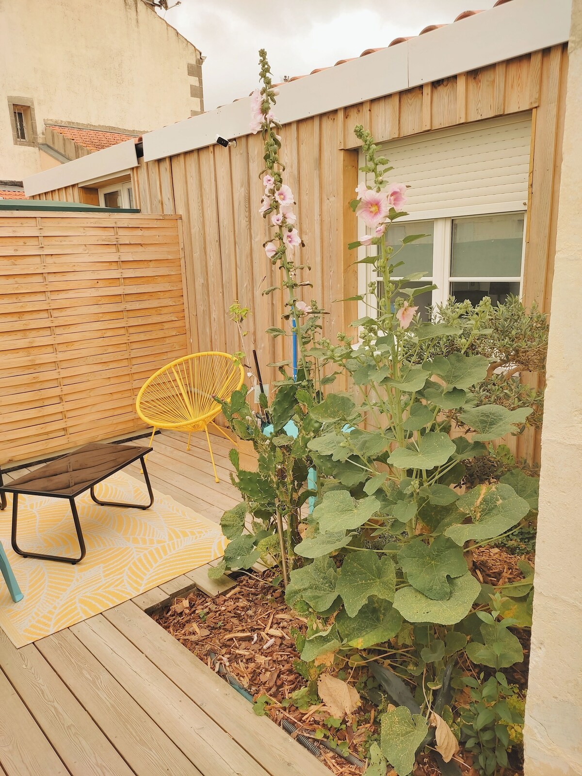 Bild für Gastgeberprofil