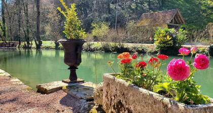 Moulin atypique de 1789